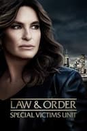 LAW & ORDER： 性犯罪特捜班