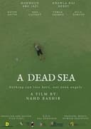A Dead Sea