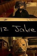 12 Jahre
