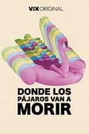 Donde los pájaros van a morir