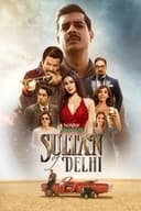 दिल्ली का सुल्तान