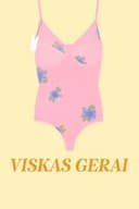Viskas Gerai