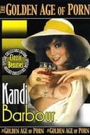 The Golden Age of Porn: Kandi Barbour