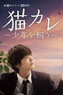 猫カレ -少年を飼う-