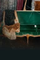 Les Coulisses du Bye bye 2025