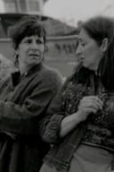 As Gaivotas Cortam o Céu