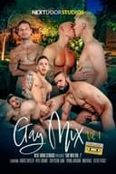 Gay Mix Vol 1