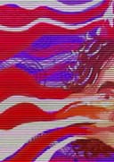 Happy Birthday, Stefan