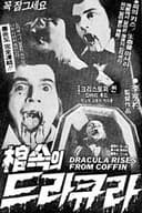 棺속의 드라큐라