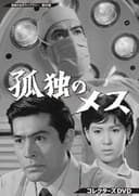 孤独のメス