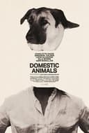 Domestic Animals