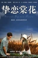 挚恋棠花