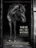 Where Once They Mattered