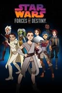 スター・ウォーズ/フォース・オブ・デスティニー
