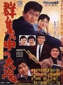 群集の中の太陽