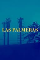 Las Palmeras (Documental Niños del Cerro)