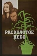 Perskeltas dangus
