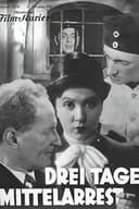Drei Tage Mittelarrest