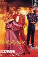 琥珀色の雨にぬれて