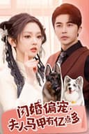 闪婚偏宠, 夫人马甲有亿点多