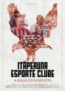 Itaperuna Esporte Clube - A Águia do Noroeste