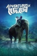 জোজোর অভিযান
