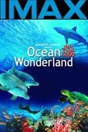 Ocean Wonderland 3D