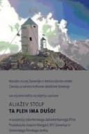 Aljažev stolp: Ta pleh ima dušo