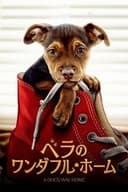 ベラのワンダフル・ホーム
