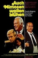 Auch Mimosen wollen blühen