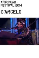 D'Angelo: Afropunk Festival