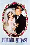 Bülbül Yuvası