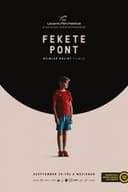 Fekete pont