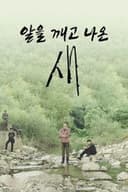 알을 깨고 나온 새