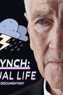 David Lynch: The Virtual Life