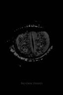 Big Croc Diaries: Special Edition