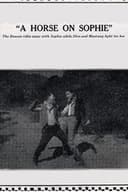 A Horse on Sophie