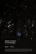 Donde revientan las luciérnagas