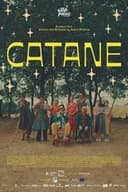 Catane