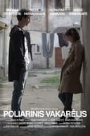 Poliarinis vakarėlis