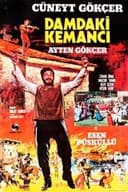 Damdaki Kemancı