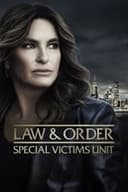 LAW & ORDER： 性犯罪特捜班