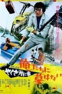 やくざ刑事 俺たちに墓はない