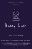 Nanny Cam