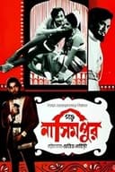 গড় নাসিমপুর