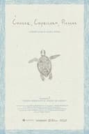 Рак, омар и стрида