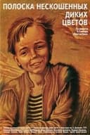 Полоска нескошенных диких цветов