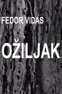 Ožiljak