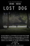 Lost Dog