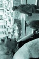 ПРЕВОДАЧКАТА НА ЧЕРНО-БЕЛИ ФИЛМИ